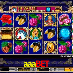 aaabet Rio de Janeiro - Bonus Terms